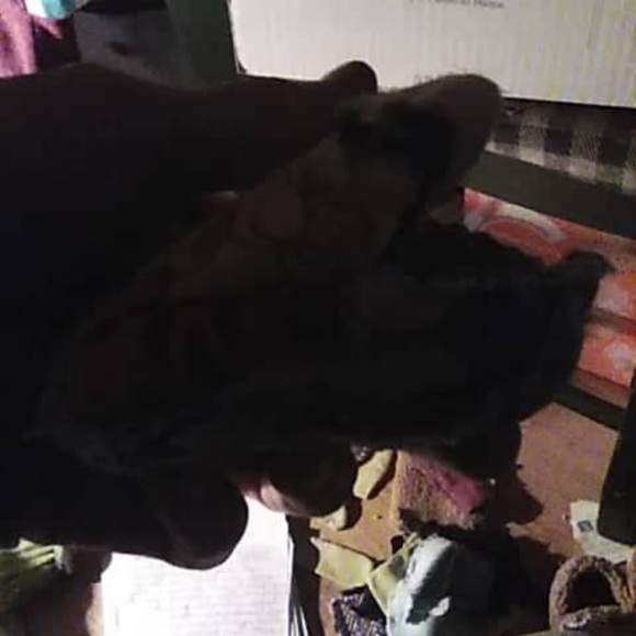 Booties & slippers - Picture 7 of 12